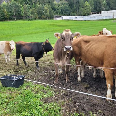 Ferienhof Bichlhof Arzl im Pitztal Eksteriør billede