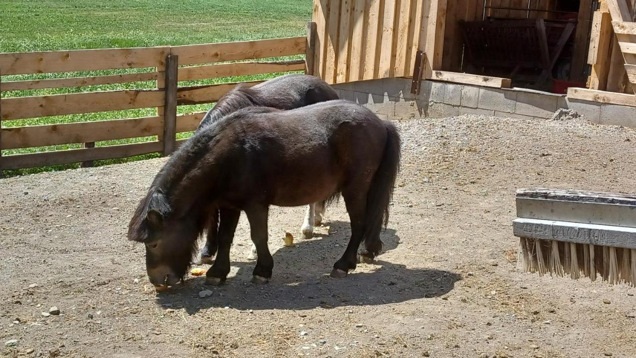 Ferienhof Bichlhof Arzl im Pitztal Eksteriør billede